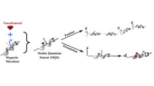 What Happens When Quantum Sensors Enter Living Cells? Researchers Develop a Magnetic Microbot Solution