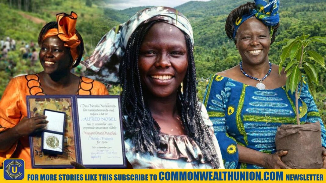 Wangari Maathai: The Woman Who Planted a Movement in Hearts