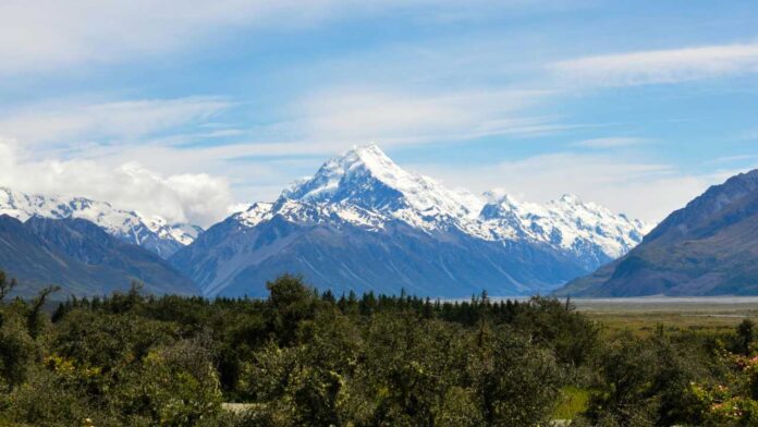 Lose Yourself in Nature: Why Hiking in New Zealand Feels Like Walking Through a Dream