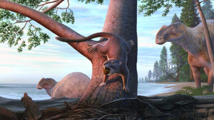 New Dinosaur-Age Mammal Unearthed: Tiny Hamster-Like Cimolodon desosai Reveals How Early Mammals Survived