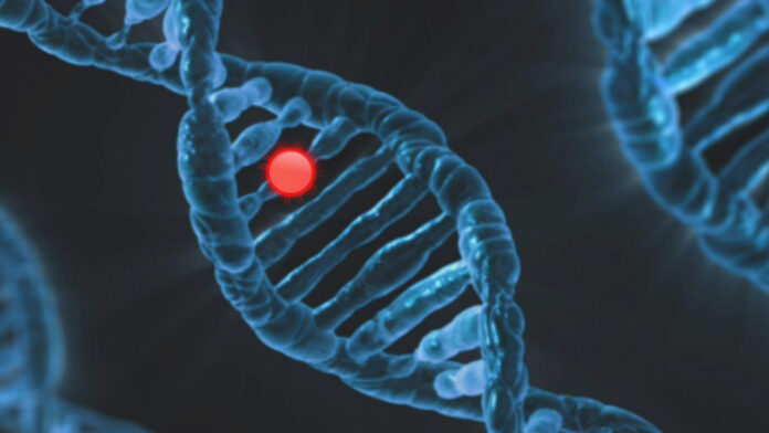 Could Gene Editing End Genetic Epilepsy? New Study Shows Dramatic Results