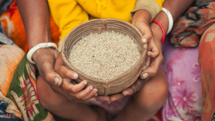 Egypt Deal Signals Global and Commonwealth Push for Food and Energy Security