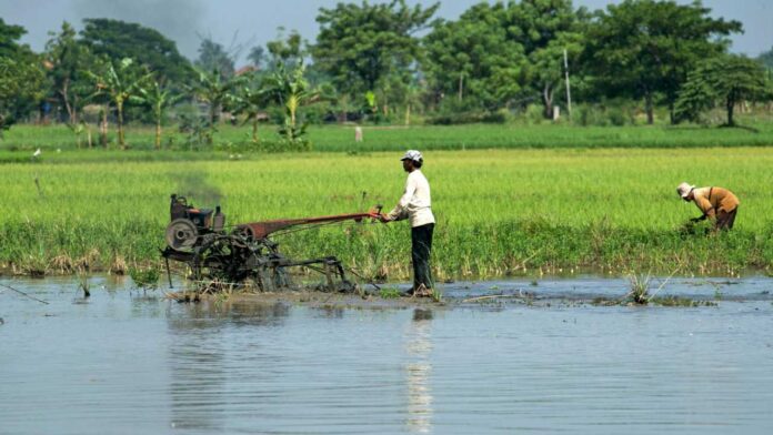The Unexpected Alliance That Could Redefine Food Security Across the Gulf