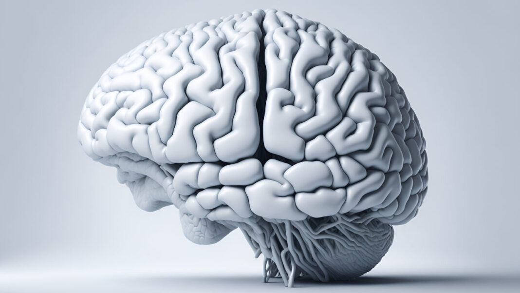 Brain’s Hidden Player: New Map of Histamine Reveals Surprising Links to Mental Health Brain’s Hidden Player: New Map of Histamine Reveals Surprising Links to Mental Health