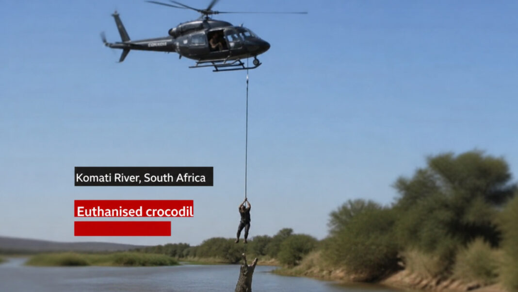 Police Officer Sent into Crocodile-Infested River to Recover Human Remains Police Officer Sent into Crocodile-Infested River to Recover Human Remains