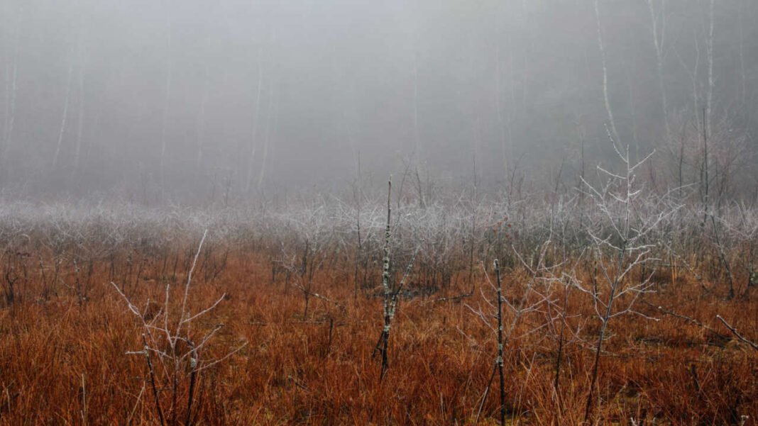 When the Highlands Turned White: How El Niño Is Pushing Papua New Guinea Toward a Major Food Crisis When the Highlands Turned White: How El Niño Is Pushing Papua New Guinea Toward a Major Food Crisis