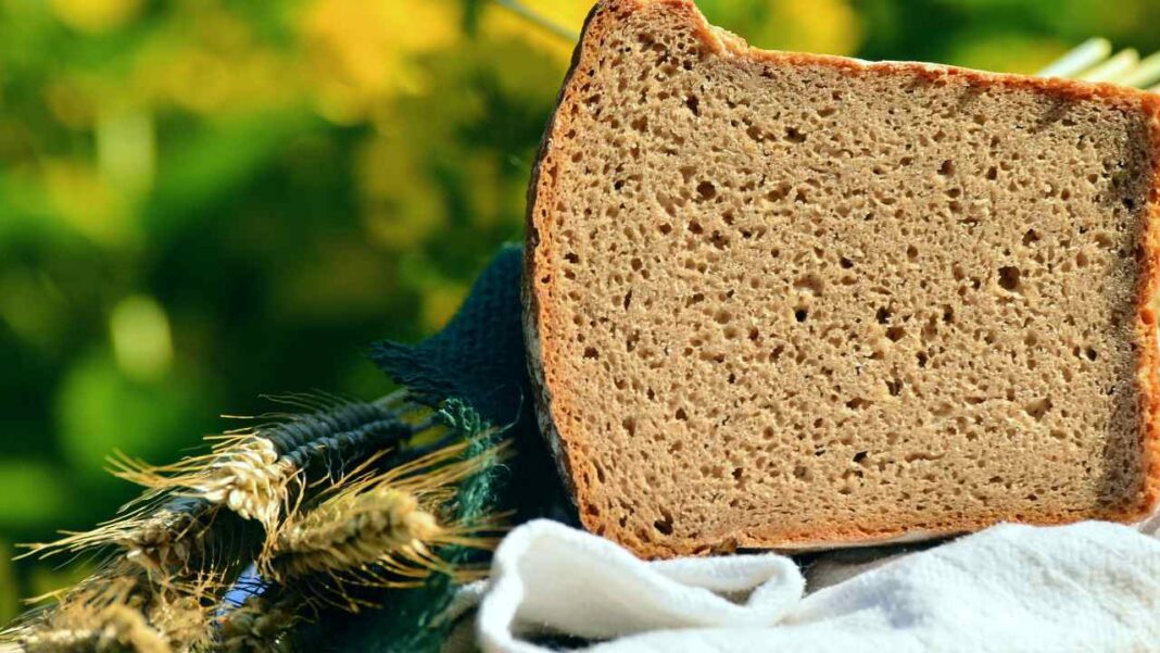 Scientists Turn Bread Waste and Grass into High-Protein Food with Better Taste and Aroma Scientists Turn Bread Waste and Grass into High-Protein Food with Better Taste and Aroma
