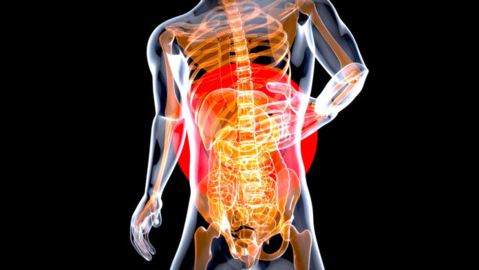 Scientists Identify Key Autoimmune Mechanism Driving Subtype of Inflammatory Bowel Disease in Major Study