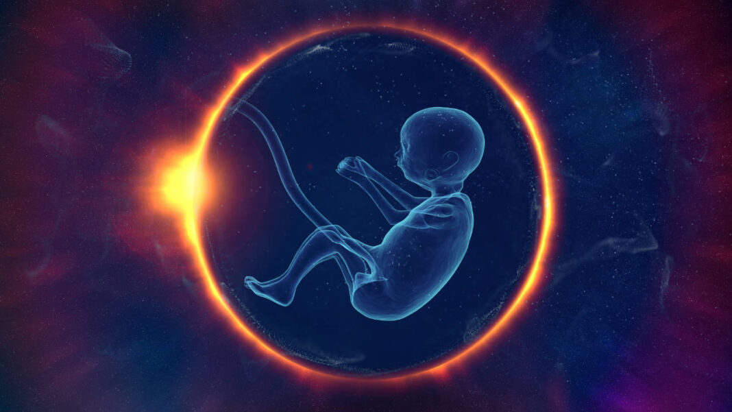 Can a Single Gene Shape Human Life? New Base Editing Study Unlocks Early Embryo Secrets