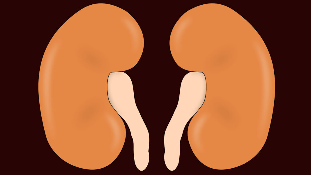 Why Chronic Kidney Disease Is Often Missed Until It’s Too Late—and How a Basic Urine Test Could Change That