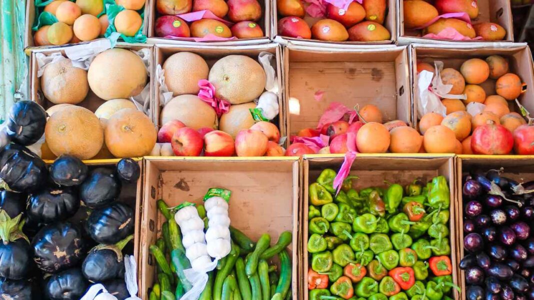 Why Bahrain’s Next Big Breakthrough May Not Come from Oil—But from Fusion Farming. Why Bahrain’s Next Big Breakthrough May Not Come from Oil—But from Fusion Farming.