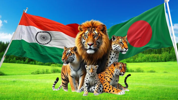 Bangladesh takes a big conservation step: Becomes latest member of Global Big Cat Alliance!