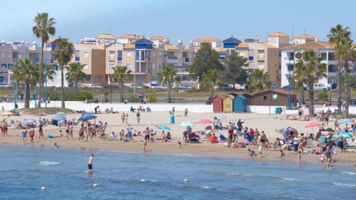 How Did a Day at Sydney Beach End in a Serious Shark Attack?