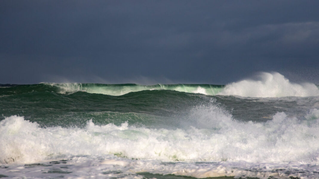 When the Ocean Took Control: How 11-Metre Waves Brought Wellington’s Coast to the Brink When the Ocean Took Control: How 11-Metre Waves Brought Wellington’s Coast to the Brink