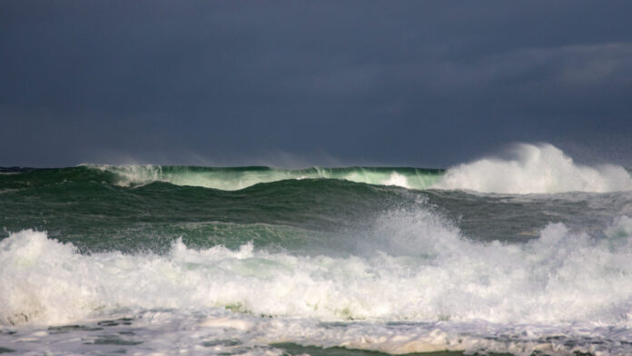 When the Ocean Took Control: How 11-Metre Waves Brought Wellington’s Coast to the Brink