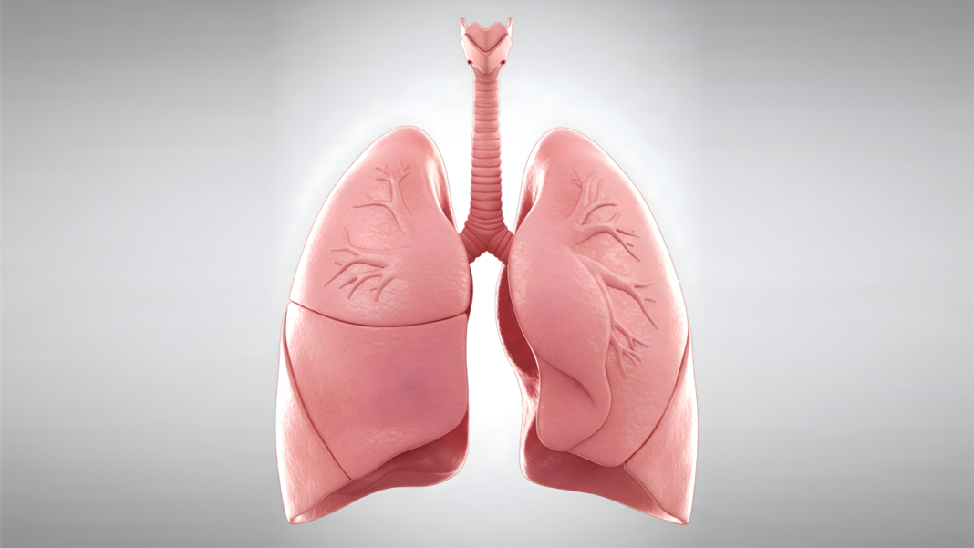 New AI Tool Trialed in UK Study to Help Detect Lung Nodules and Improve Lung Cancer Outcomes New AI Tool Trialed in UK Study to Help Detect Lung Nodules and Improve Lung Cancer Outcomes