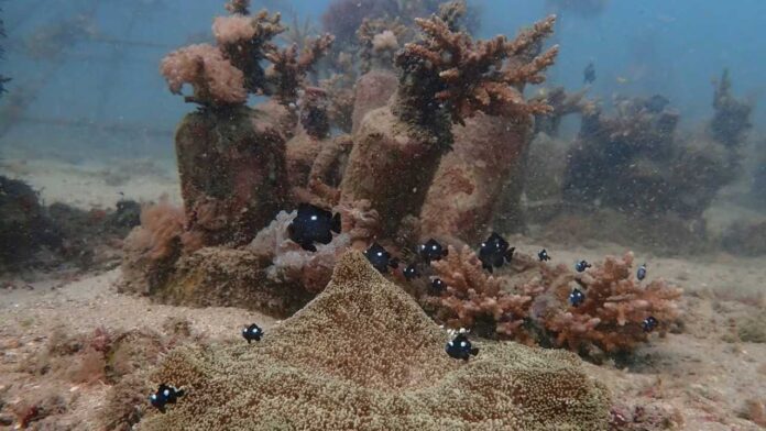 Commonwealth Ocean Ministers Meet in Kenya: Collective Action for Global Ocean Protection