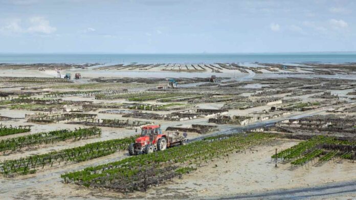 Fiji Teams Up with IFAD on $24M Program- What It Means for Rural Communities and the Environment
