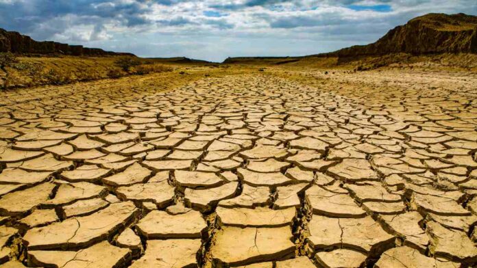 Super El Niño Could Trigger Global Food Price Shock Lasting Until 2028, Economists Warn