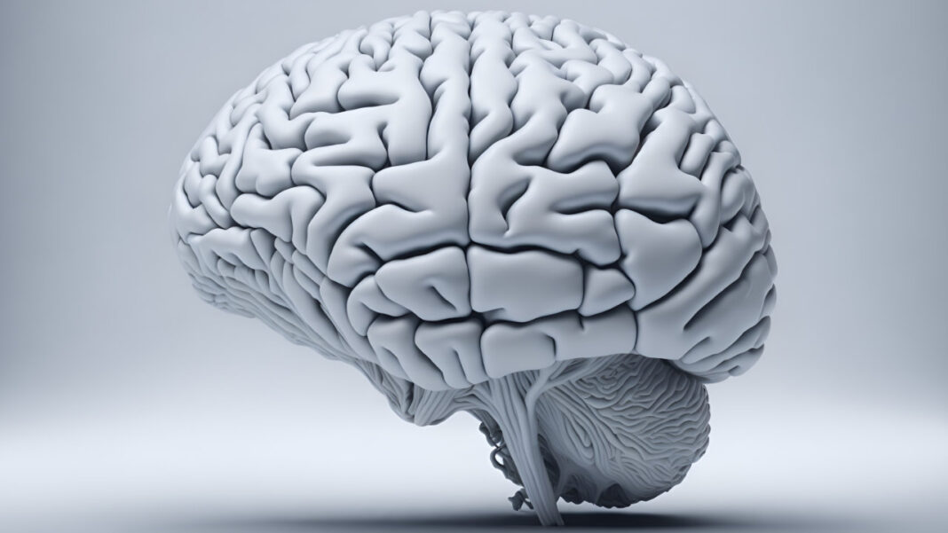 Scientists Discover New Brain Regions Linked to Language Comprehension Beyond Classic Language Centers Scientists Discover New Brain Regions Linked to Language Comprehension Beyond Classic Language Centers