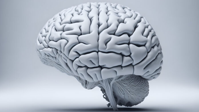 Scientists Discover New Brain Regions Linked to Language Comprehension Beyond Classic Language Centers