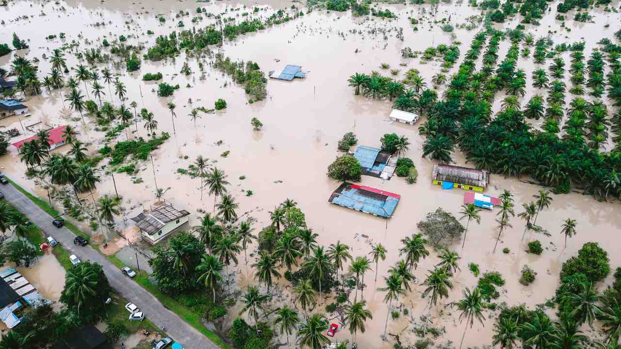 Super El Niño Could Trigger Global Food Price Shock Lasting Until 2028, Economists Warn