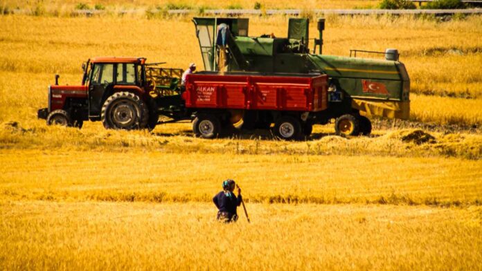 Why Botswana Is Blocking Fresh Produce Imports During Harvest—and Why Farmers Say It Must Continue