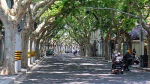 UK’s Overheating Cities Have Far Fewer Trees Than European Counterparts, New Data Reveals