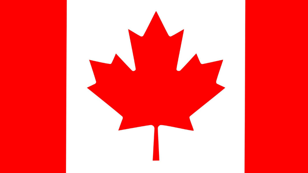Is Canada’s Workforce Ageing Too Fast? StatsCan Data Reveals Sharp Rise in Older Workers Across Key Sectors Is Canada’s Workforce Ageing Too Fast? StatsCan Data Reveals Sharp Rise in Older Workers Across Key Sectors