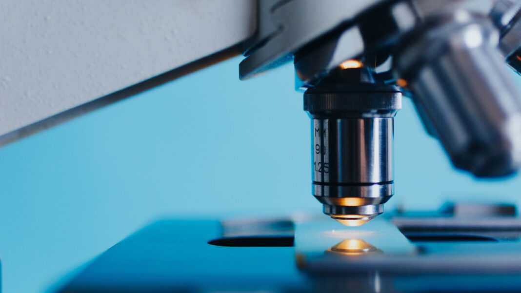 Major step against antimicrobial resistance as drug combo outperforms single antibiotics in deadly infection model
