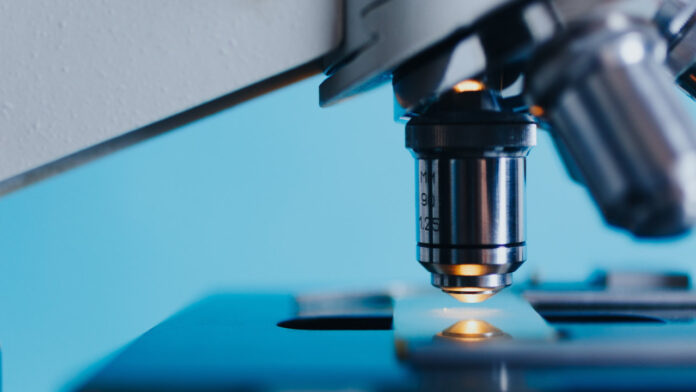 Major step against antimicrobial resistance as drug combo outperforms single antibiotics in deadly infection model