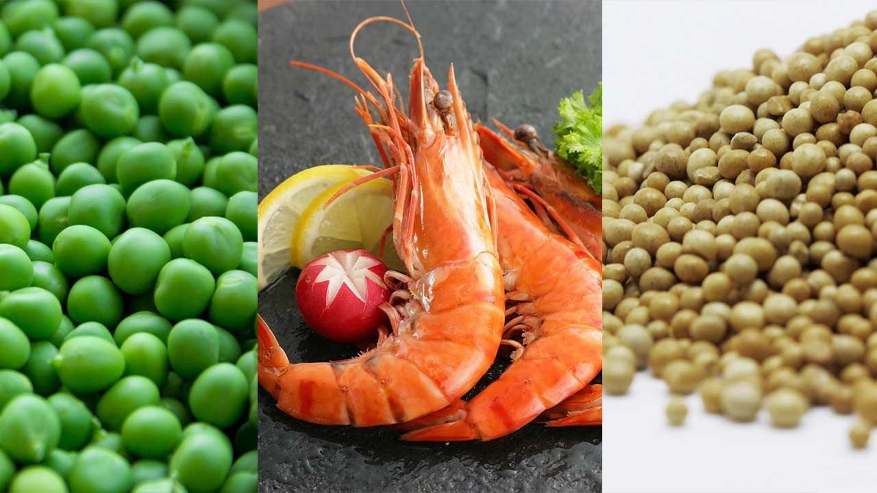 Can Canada Secure Tariff Relief for Canola and Peas as Trade Talks with China Resume?
