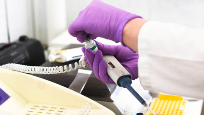 D-GK17: Researchers Develop Potential Antibiotic Alternative That Targets Drug-Resistant Infections