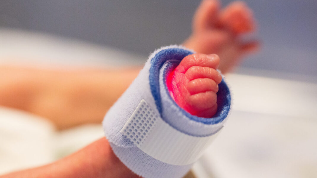 From Premature Birth to Adulthood: 34-Year Study Reveals How Childhood Development Shapes Future Success From Premature Birth to Adulthood: 34-Year Study Reveals How Childhood Development Shapes Future Success