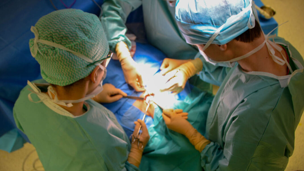 845 Kidney Transplants Later: How the UAE Is Quietly Transforming Organ Care