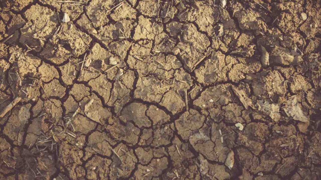 Uganda Sends Emergency Food Aid as Drought Deepens Hunger Crisis