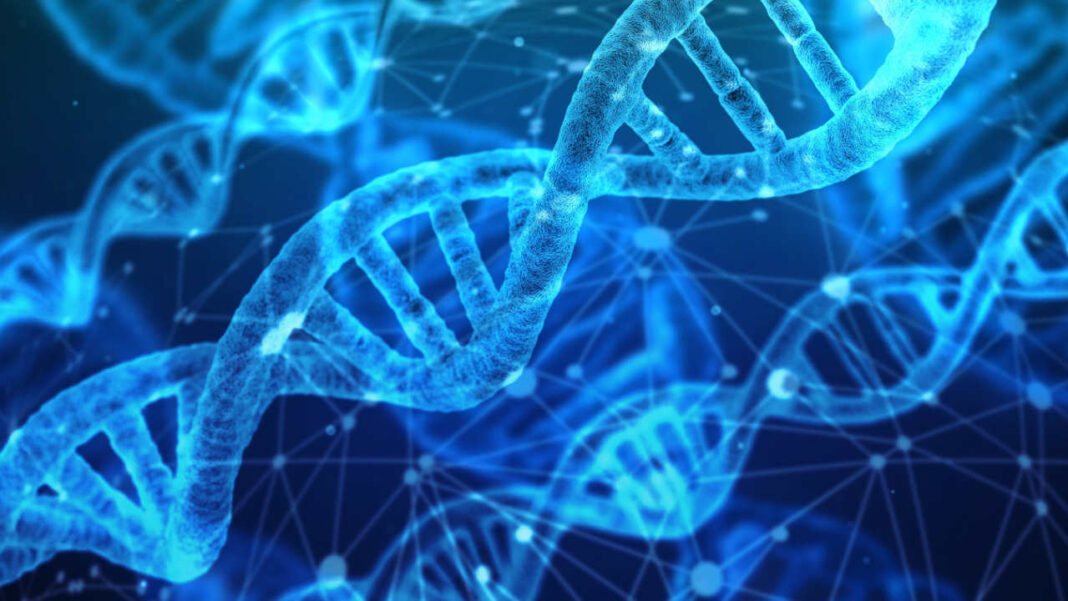 New AI Algorithm Could Transform Global Genomic Surveillance by Detecting Dangerous Virus Variants Faster New AI Algorithm Could Transform Global Genomic Surveillance by Detecting Dangerous Virus Variants Faster