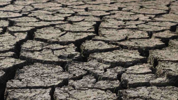 Somalia’s Hunger Crisis Deepens as Drought, Conflict and Sharp Aid Cuts Leave Millions at Risk