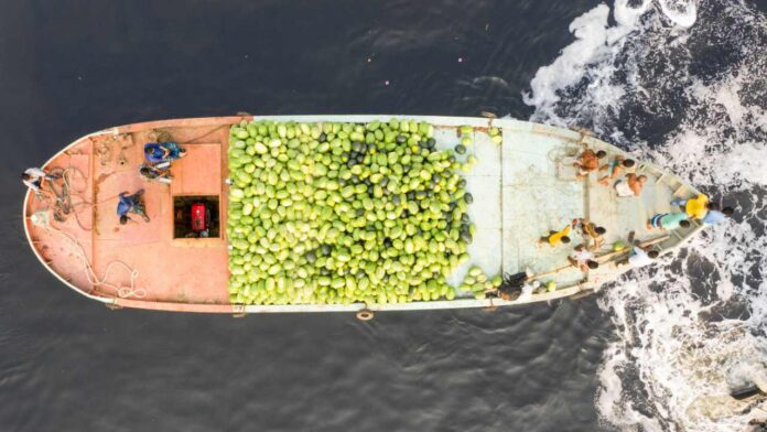 UK Food Security at Risk as Climate Change Threatens Fruit and Vegetable Imports