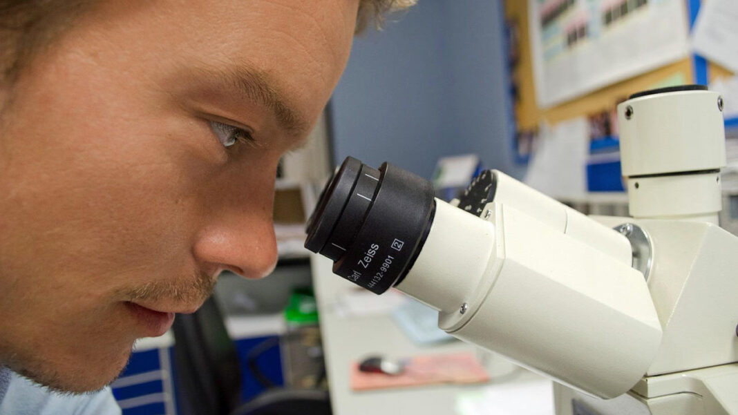 Revolutionary Microscope Technique Maps Chemical Fingerprints of Quantum Materials at the Atomic Scale