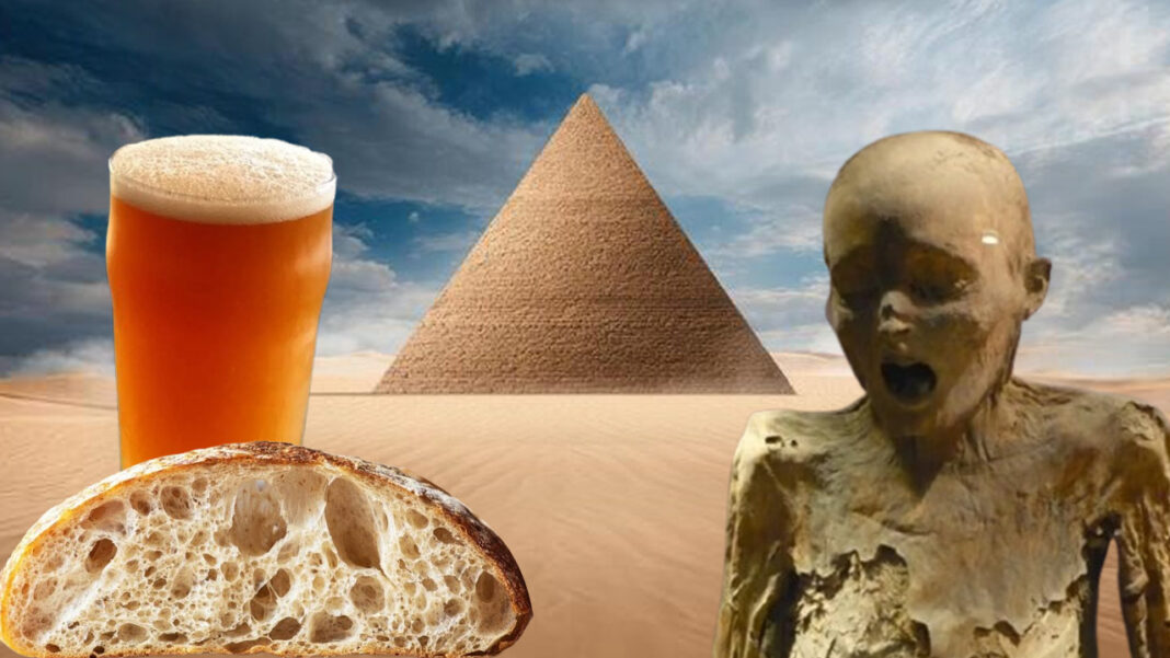 Mummy bread experiment: How this 5,000-year-old mummy will revolutionize the modern baking industry?