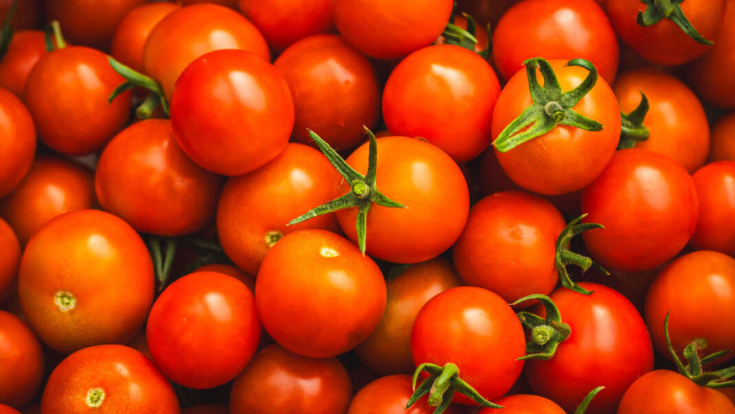 Tomatoes Have a Hidden Health Secret—And It’s Not Lycopene Tomatoes Have a Hidden Health Secret—And It’s Not Lycopene
