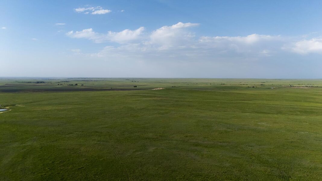 Is Rising CO₂ Making African Grasslands Grow Faster? New Study Reveals Is Rising CO₂ Making African Grasslands Grow Faster? New Study Reveals