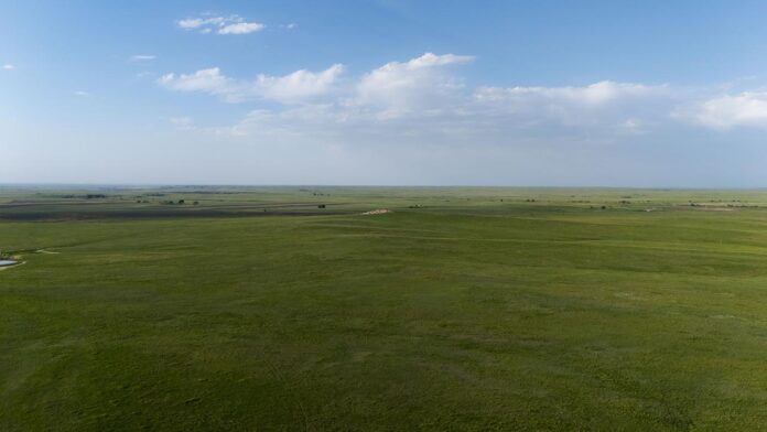 Is Rising CO₂ Making African Grasslands Grow Faster? New Study Reveals