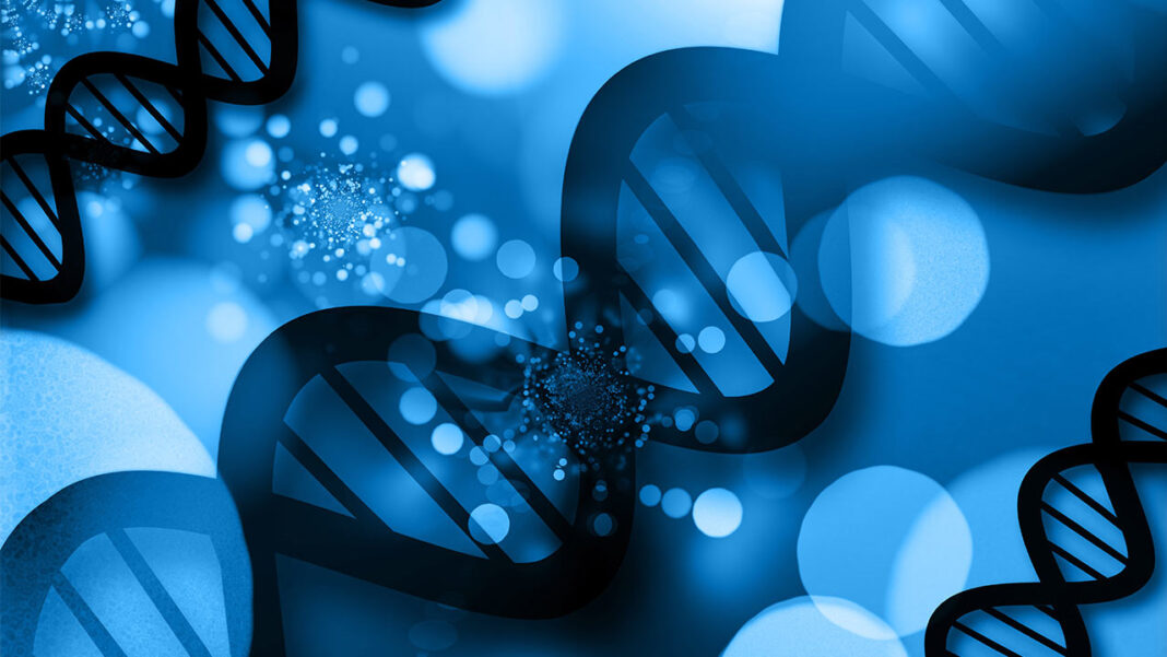 How a New “Cell Village” Approach Could Transform Personalized Medicine by Mapping Human Genetic Vulnerability