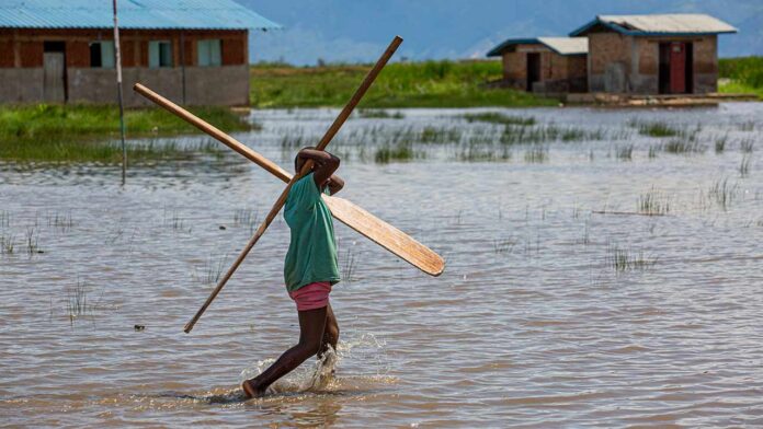 El Niño Threatens to Deepen Bangladesh’s Agricultural Challenges as Extreme Weather Disrupts Farming
