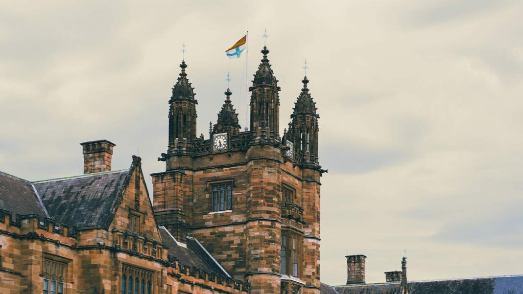 How Is the 11% Fall in International Students Putting UK Universities at Risk?