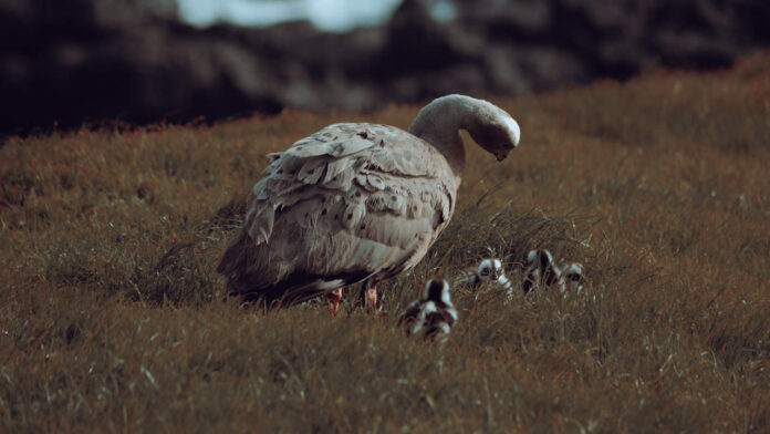 Plastic in the Ocean Is Ending Up in Seabird Chicks, and It's Changing Their Bodies