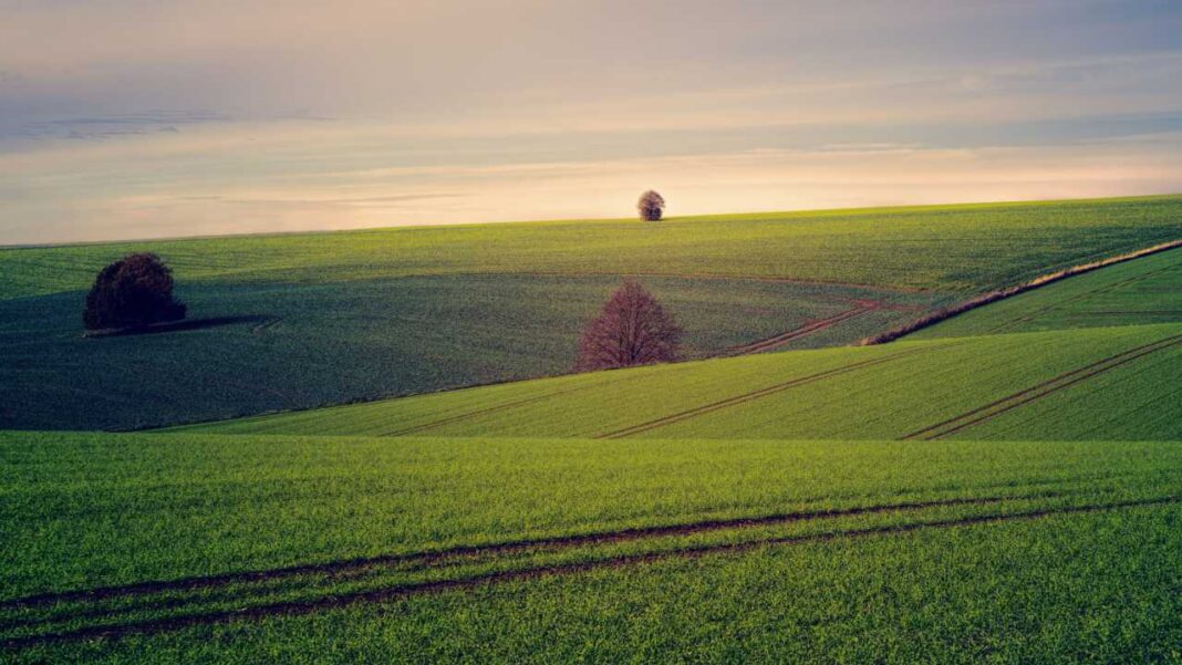 Africa Takes Stronger Role in Global Development, Climate and Governance Discussions