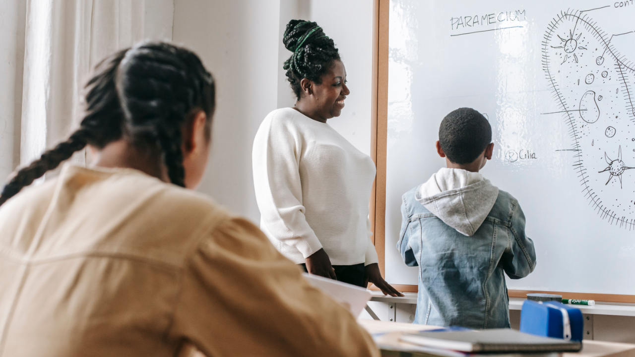 New Zealand Curriculum Overhaul Faces Tribunal Scrutiny Over Māori Partnership and Education Reform